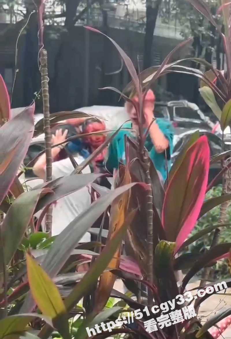 广东岭南新世界 男子无差别随机砍人 血流成河后跳楼自杀 现场完整版视频曝光！ - 51吃瓜网-51吃瓜网