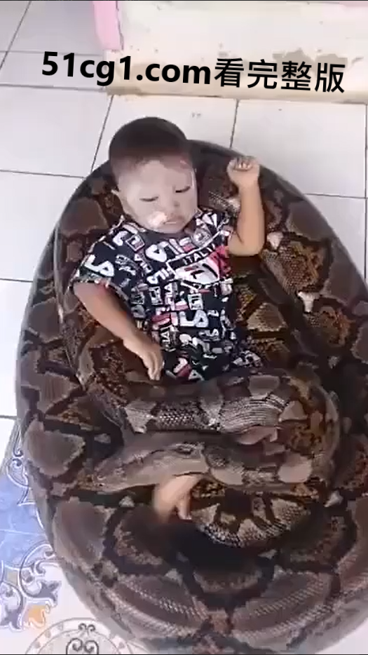 这么大只的蛇,小孩都不怕,玩起来了 - 51吃瓜网-51吃瓜网