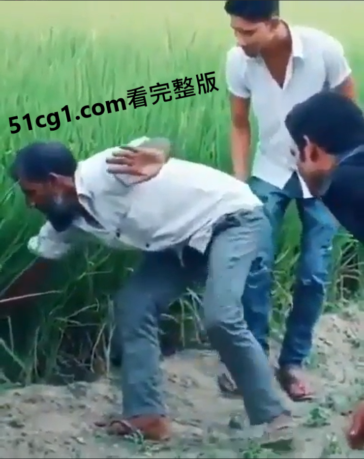 “小心草丛！” - 51吃瓜网-51吃瓜网